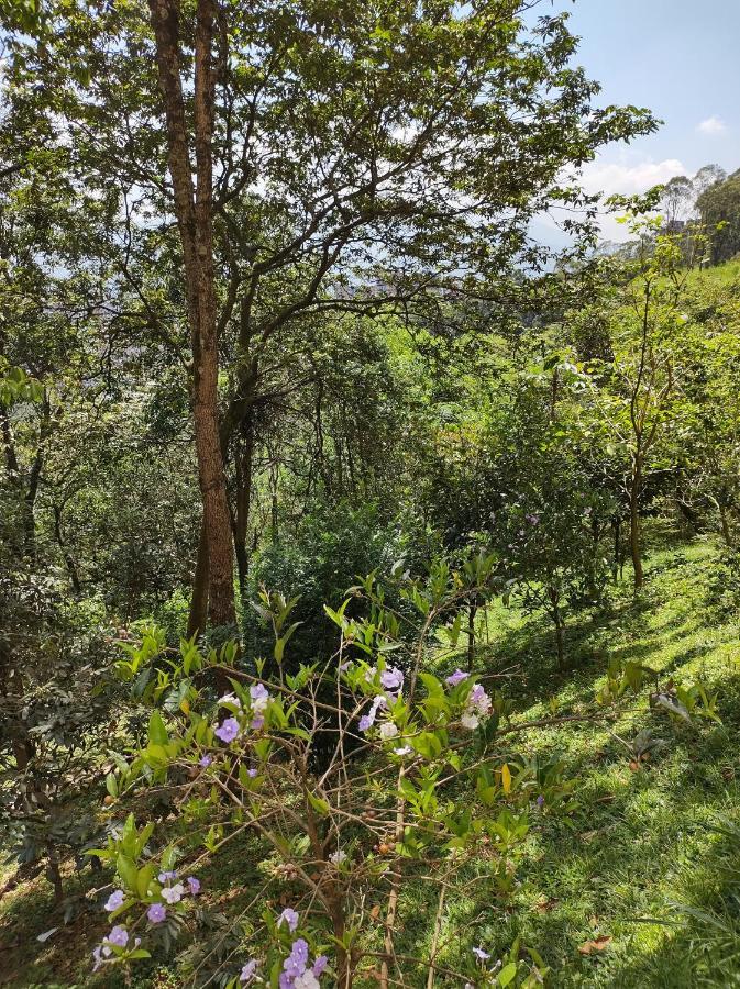 Hermoso Apartamento Con Vista A Todo Medellin Exterior photo